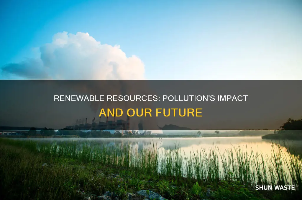 what happens when you pollute renewable resources