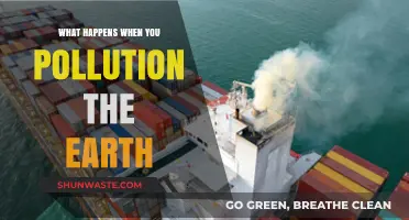 Human Impact: Polluting Our Earth, Our Future