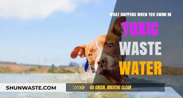 Toxic Waters: The Hidden Dangers of Swimming in Polluted Water