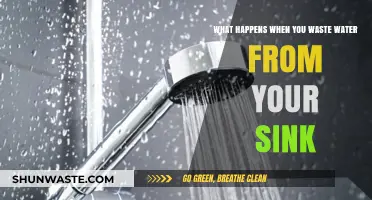 Wasted Sink Water: Environmental Impact and Conservation Solutions Revealed