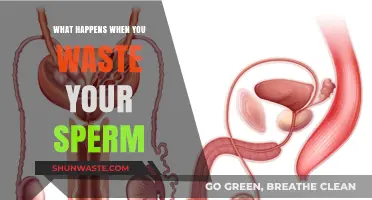 The Hidden Consequences of Wasting Sperm: Myths vs. Reality