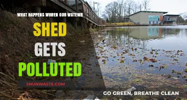 Water Pollution: Shedding Light on Contamination's Impact