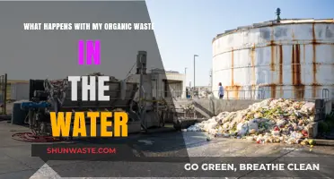 Organic Waste in Water: Impact, Process, and Environmental Consequences Explained