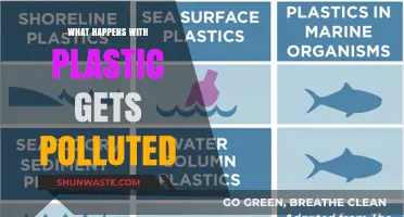 Plastic Pollution: Understanding the Devastating Impact on Our Planet
