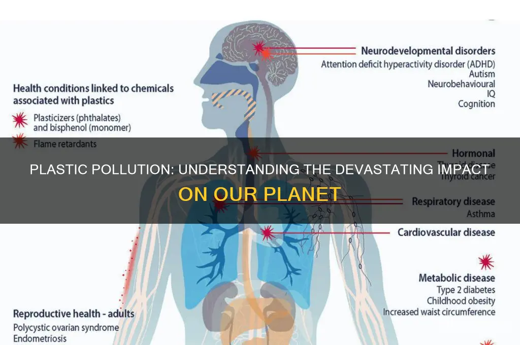 what happens with plastic gets polluted