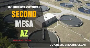 Wastewater Management at Second Mesa, AZ: Processes and Environmental Impact
