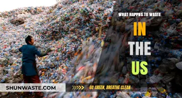 Where Does US Waste Go? Landfills, Recycling, and Beyond Explained