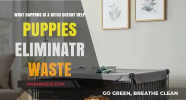 What Happens When a Bitch Fails to Assist Puppies in Eliminating Waste?