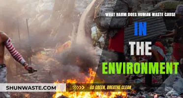 Human Waste's Environmental Impact: Pollution, Health Risks, and Ecosystem Damage