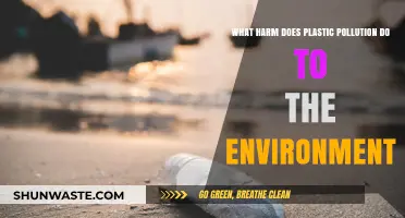 Plastic Pollution: Harming Our Planet, Our Health