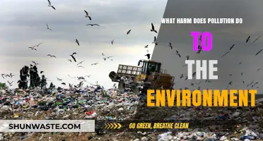 Pollution's Harm: Devastating Impacts on Our Environment