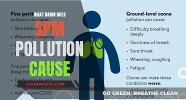 Unveiling the Devastating Impact of SPM Pollution