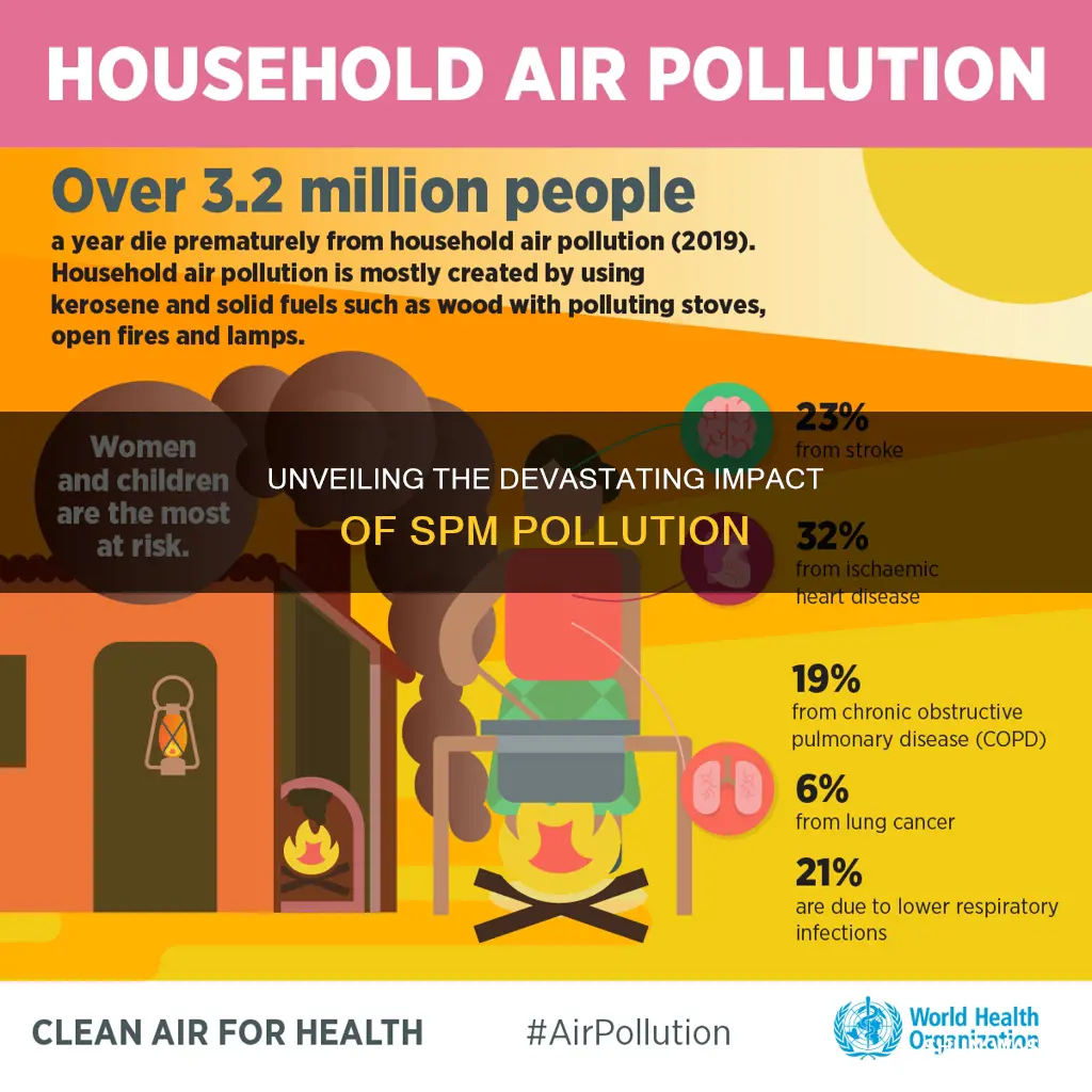 what harm does spm pollution cause