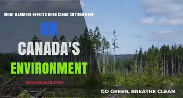 Clear Cutting's Devastating Impact on Canada's Fragile Ecosystems and Climate