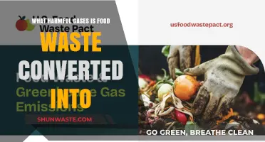 From Waste to Menace: The Harmful Gases Food Waste Generates