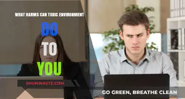 Toxic Environments: Unseen Dangers and Long-Term Harms to Your Well-Being