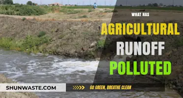 Agricultural Runoff: Polluting Our Waterways and Environment