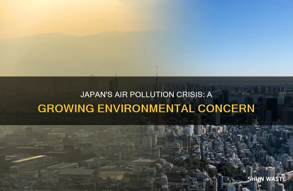 what has air pollution caused in japan