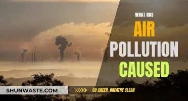 Air Pollution's Devastating Impact on Our World