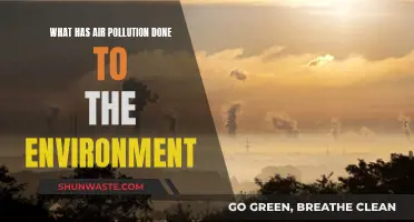 Air Pollution's Devastating Impact on Our Environment