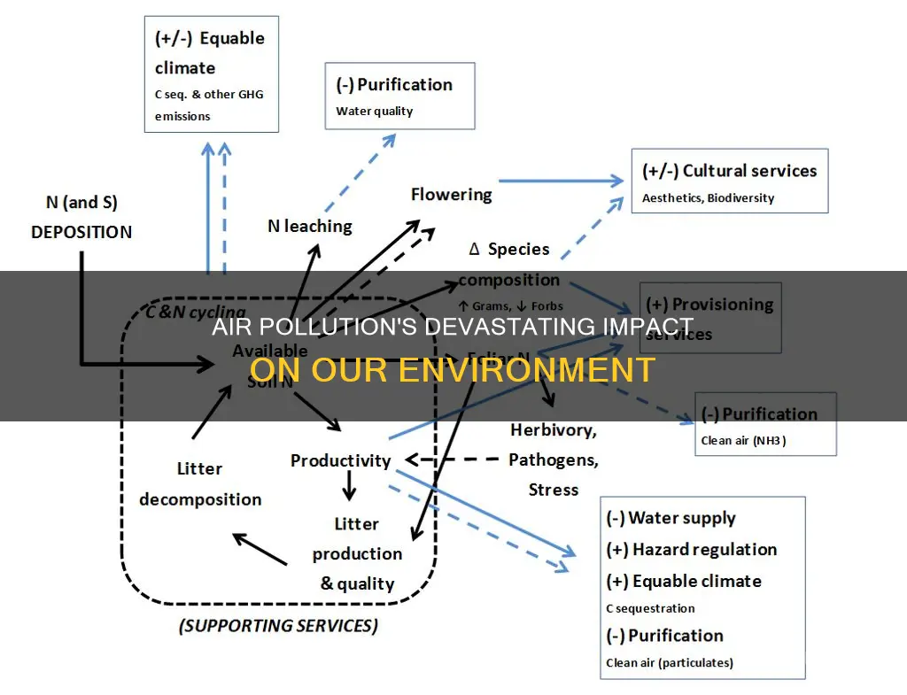 what has air pollution done to the environment