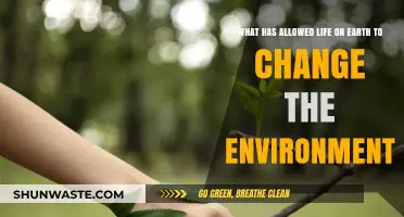 How Life on Earth Transforms Its Environment: Key Factors Explained