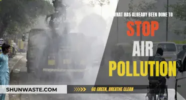 Strategies to Combat Air Pollution: Past and Present