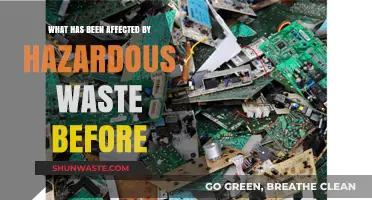 Communities and Ecosystems: The Impact of Hazardous Waste