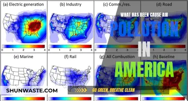 Unveiling America's Air Pollution: Sources and Solutions