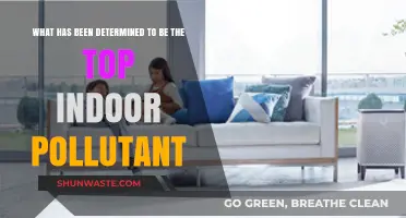 Indoor Air Quality: The Top Pollutant Revealed