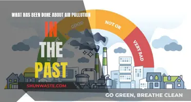 Air Pollution: Past Efforts, Present Results