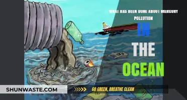 Ocean Mercury Pollution: What's Being Done?