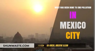 Mexico City's Pollution: Strategies and Solutions