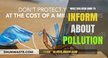 Pollution Awareness: Education and Outreach Efforts