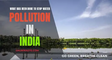 India's Water Warriors: Strategies to Combat Pollution