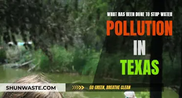 Texas' Water Warriors: Strategies to Combat Pollution