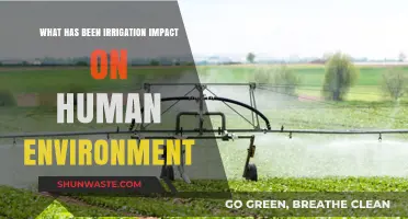 Irrigation's Environmental Impact: Shaping Landscapes, Ecosystems, and Human Societies