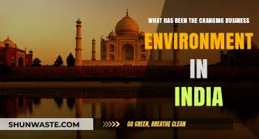 India's Business Evolution: Adapting to Dynamic Economic Landscapes