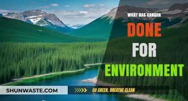Canada's Green Legacy: Environmental Achievements and Sustainable Initiatives