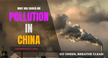 China's Air Pollution Crisis: Unraveling the Complex Causes