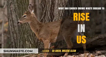 Rising Chronic Wasting Disease: Uncovering Causes in US Wildlife Crisis