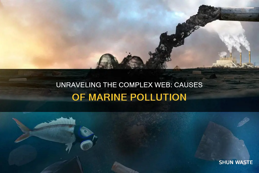 what has caused marine pollution