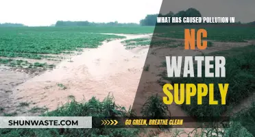 NC Water Crisis: Uncovering the Sources of Pollution