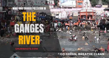 Unveiling the Ganges' Pollution: A Tale of Industrial and Agricultural Woes