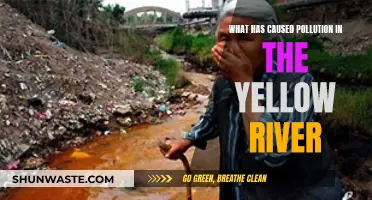 The Yellow River's Pollution: A Complex Web of Human and Natural Factors