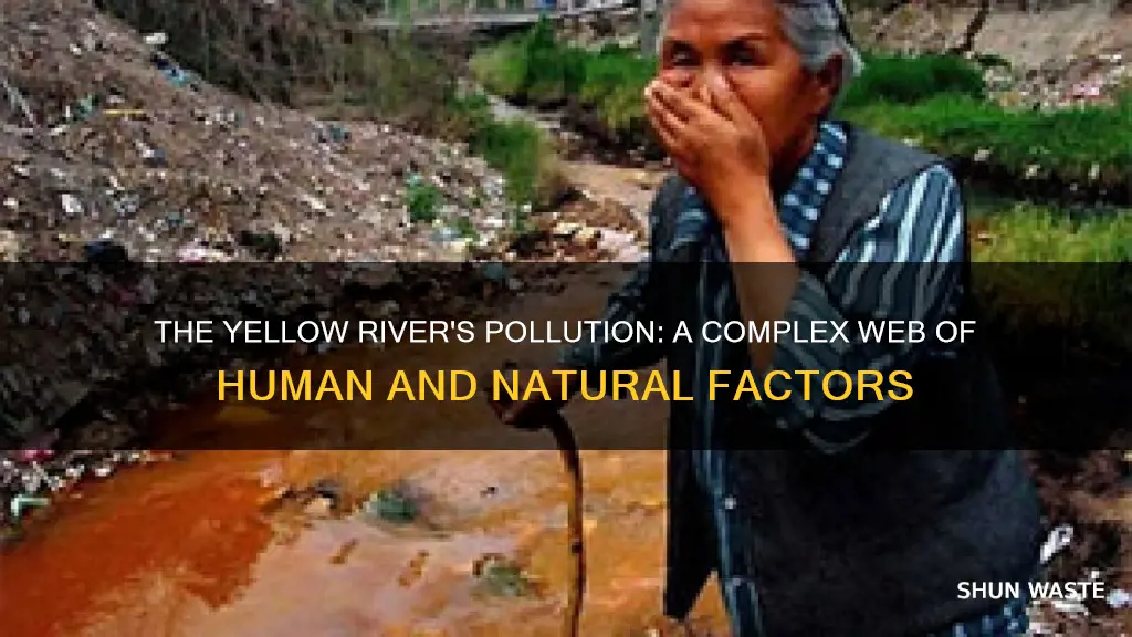 what has caused pollution in the yellow river