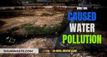 Unveiling the Sources: Understanding Water Pollution's Complex Causes