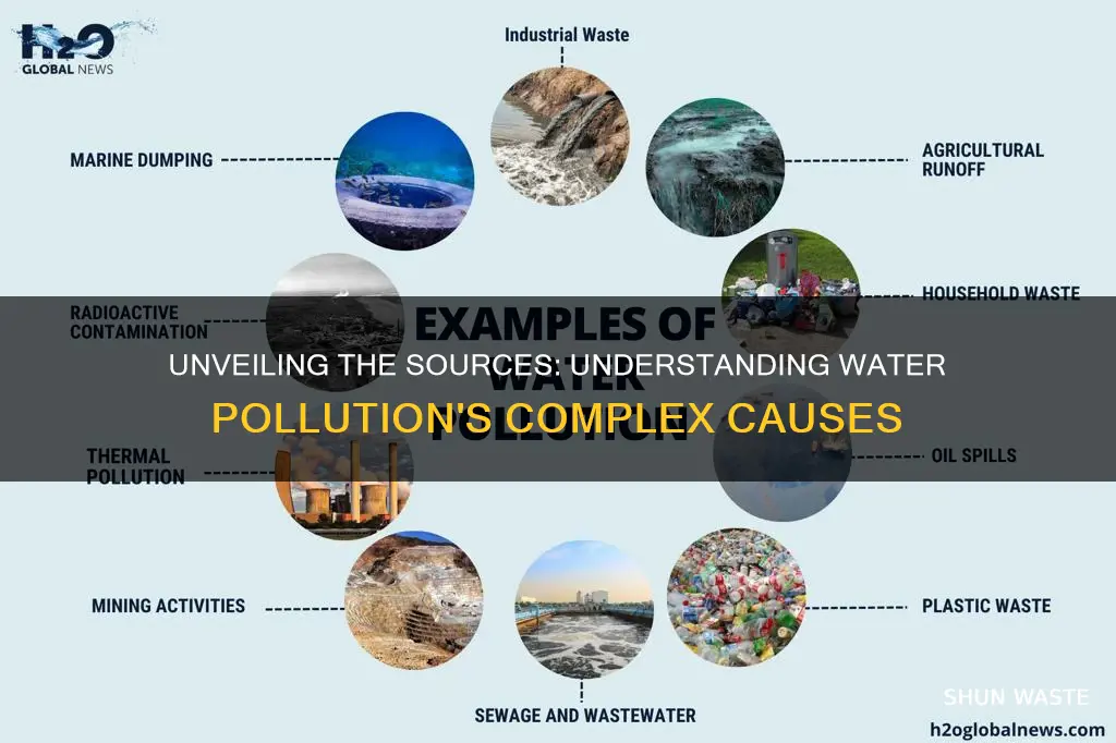 what has caused water pollution