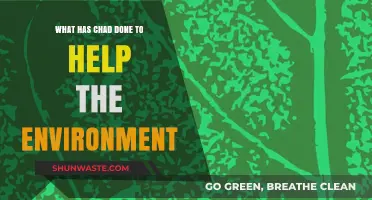 Chad's Environmental Efforts: Initiatives and Impact on Sustainability