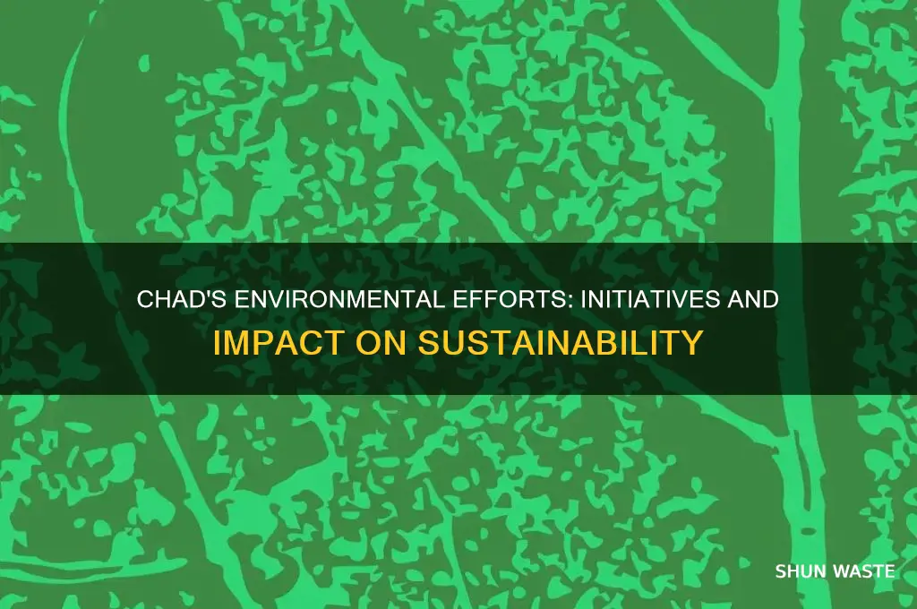 what has chad done to help the environment
